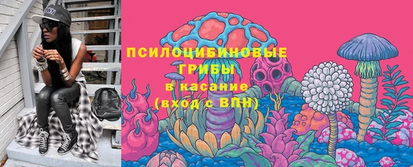 прущий лед Снежногорск
